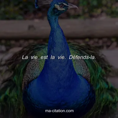 La vie est la vie. DÃ©fends-la.