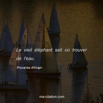 Proverbe Africain : Le vieil éléphant sait où trouver de l'eau.