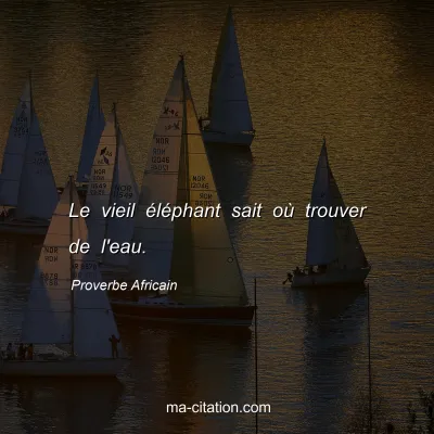 Proverbe Africain : Le vieil Ã©lÃ©phant sait oÃ¹ trouver de l'eau.