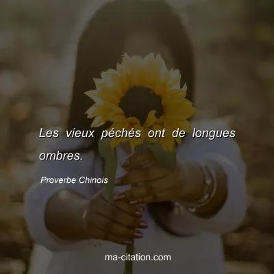 Proverbe Chinois : Les vieux pÃ©chÃ©s ont de longues ombres.