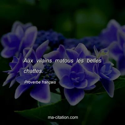 Proverbe franÃ§ais : Aux vilains matous les belles chattes.