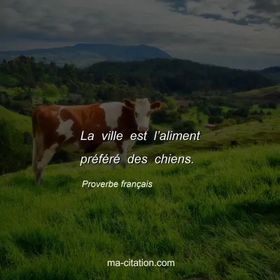 Proverbe français : La ville est l’aliment préféré des chiens.