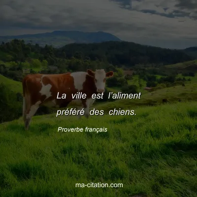 Proverbe franÃ§ais : La ville est lâ€™aliment prÃ©fÃ©rÃ© des chiens.