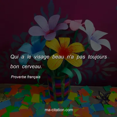 Proverbe franÃ§ais : Qui a le visage beau n'a pas toujours bon cerveau.