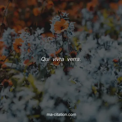 Proverbe franÃ§ais : Qui vivra verra.