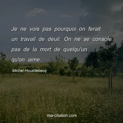 Michel Houellebecq : Je ne vois pas pourquoi on ferait un travail de deuil. On ne se console pas de la mort de quelqu'un qu'on aime.