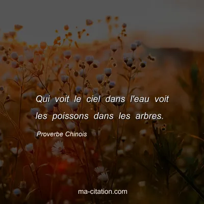 Proverbe Chinois : Qui voit le ciel dans l'eau voit les poissons dans les arbres.