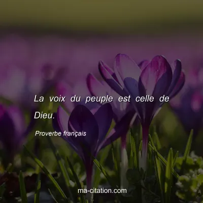 Proverbe franÃ§ais : La voix du peuple est celle de Dieu.