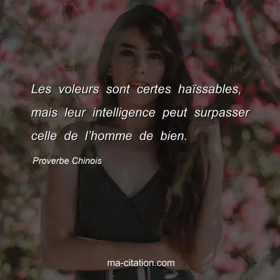 Proverbe Chinois : Les voleurs sont certes haÃ¯ssables, mais leur intelligence peut surpasser celle de lâ€™homme de bien.