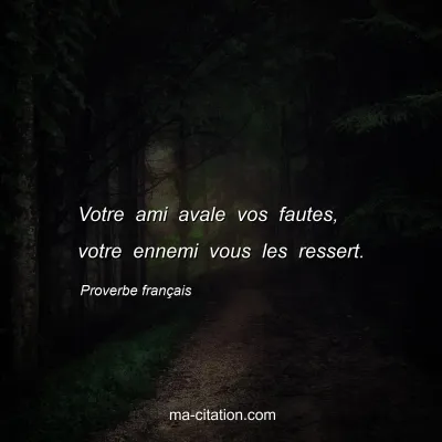 Proverbe franÃ§ais : Votre ami avale vos fautes, votre ennemi vous les ressert.
