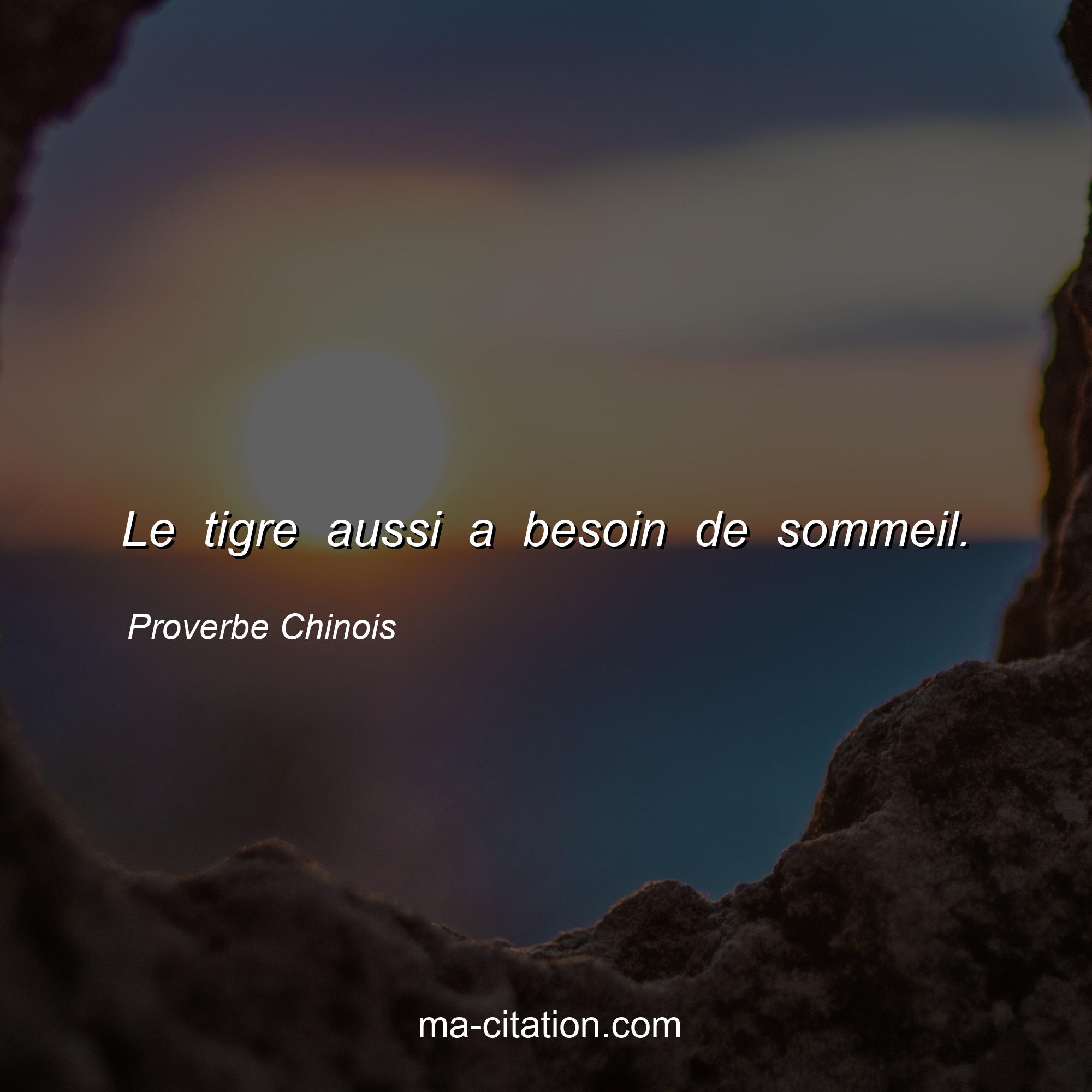 Proverbe Chinois : Le tigre aussi a besoin de sommeil.