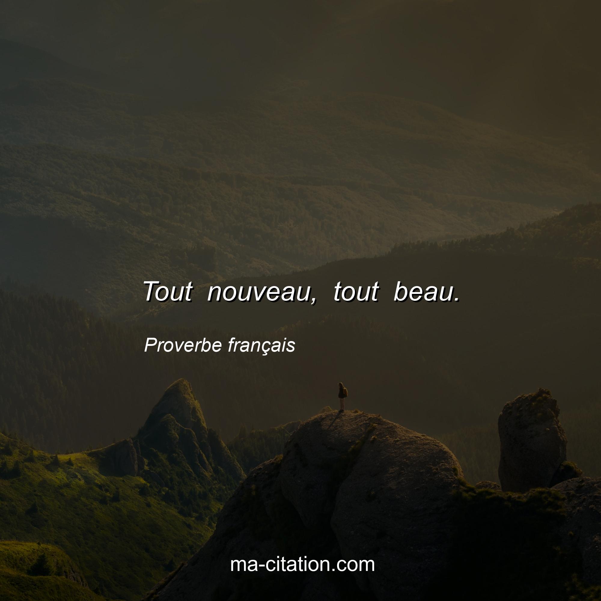 Proverbe français : Tout nouveau, tout beau.