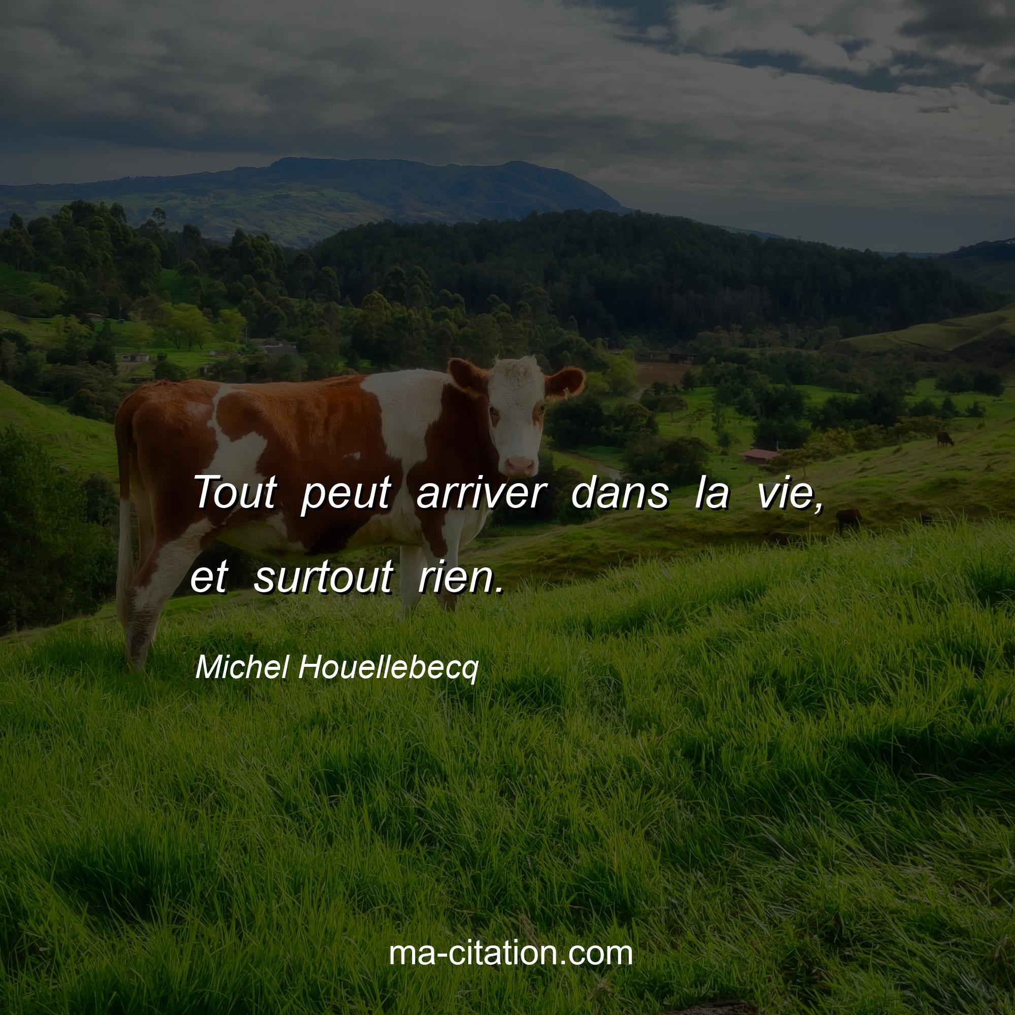 Michel Houellebecq : Tout peut arriver dans la vie, et surtout rien.
