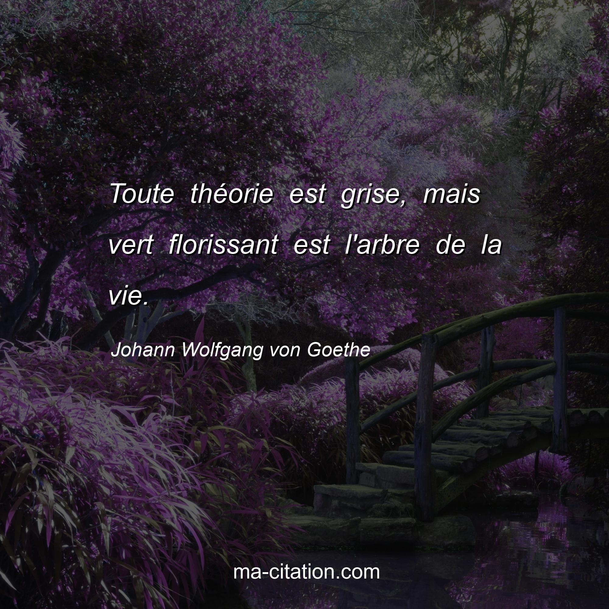 Johann Wolfgang von Goethe : Toute théorie est grise, mais vert florissant est l'arbre de la vie.