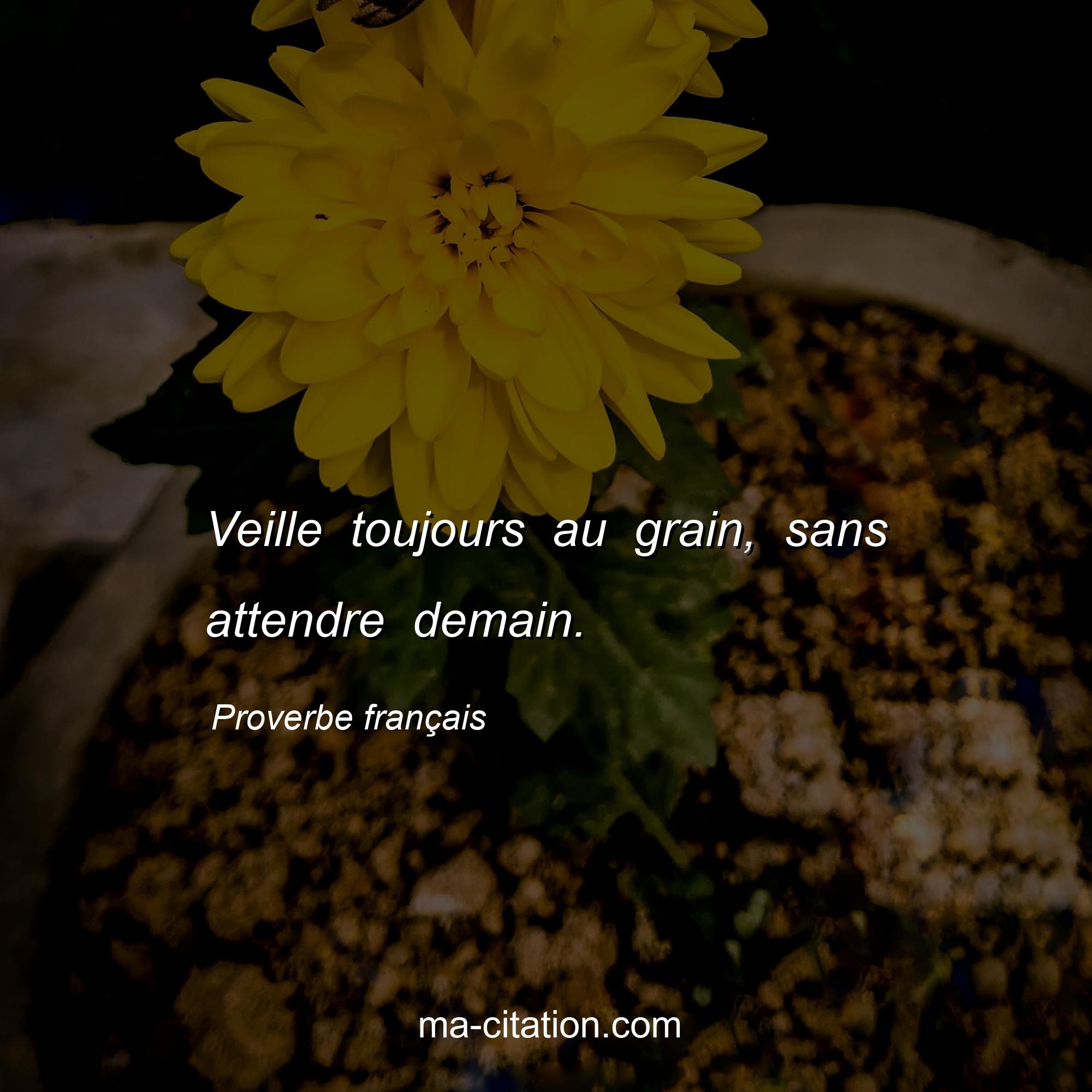 Proverbe français : Veille toujours au grain, sans attendre demain.