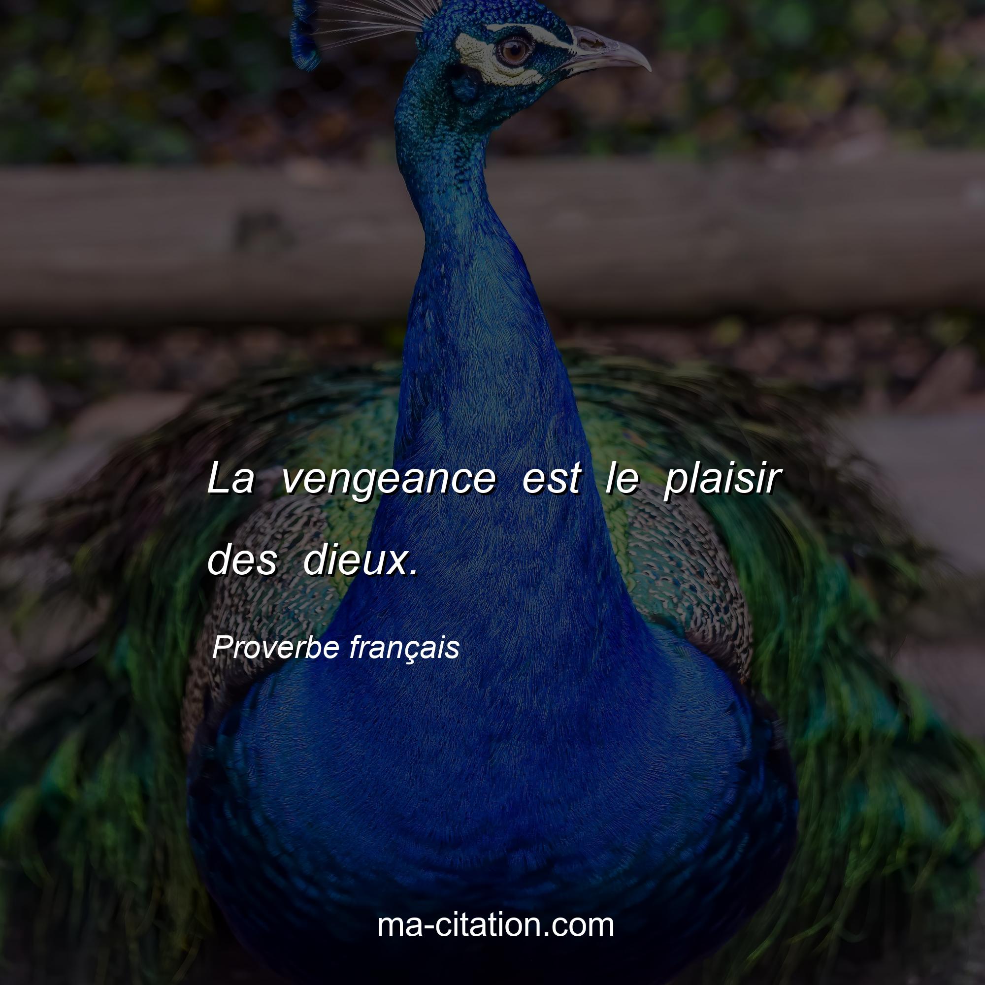 Proverbe français : La vengeance est le plaisir des dieux.