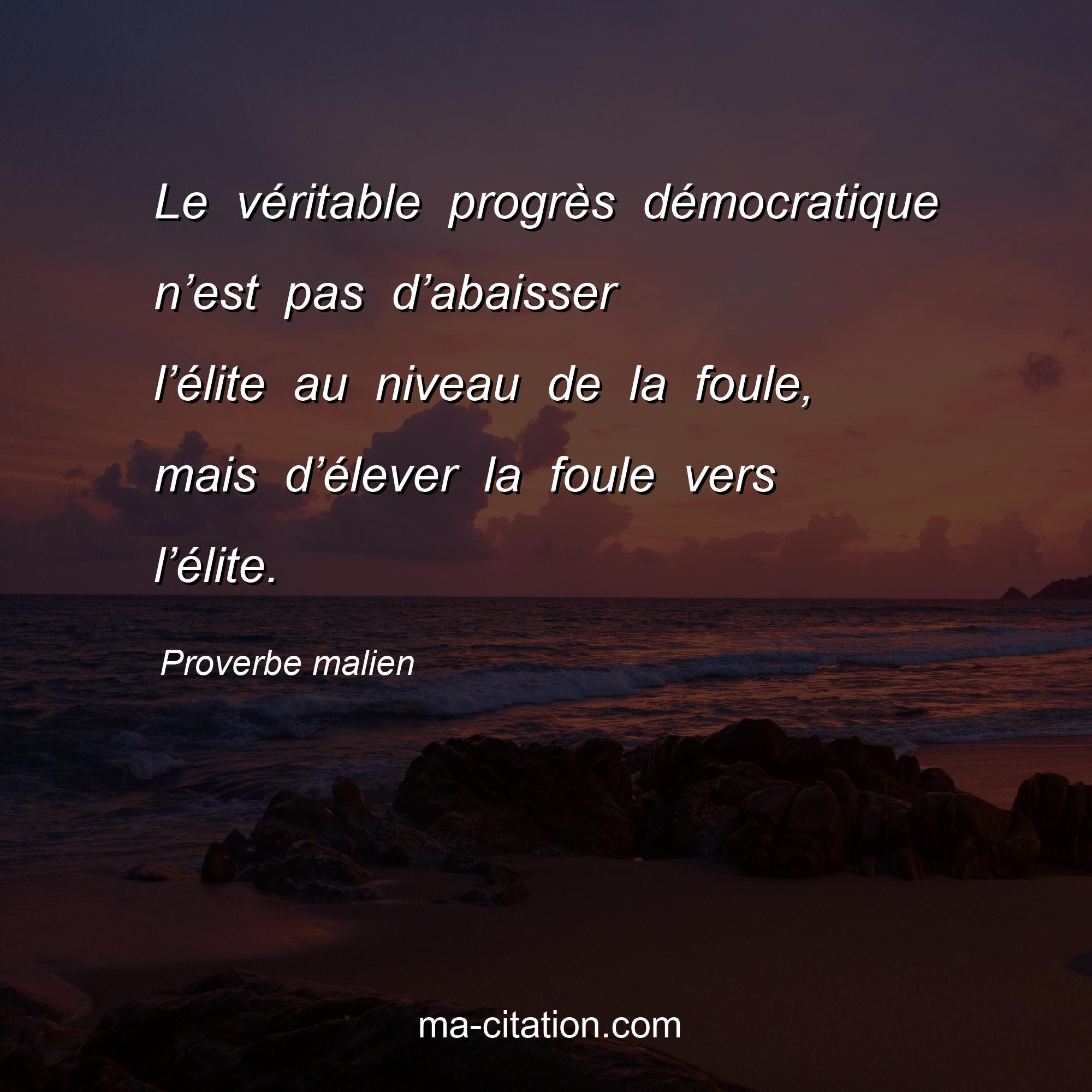 Proverbe malien : Le véritable progrès démocratique n’est pas d’abaisser l’élite au niveau de la foule, mais d’élever la foule vers l’élite.