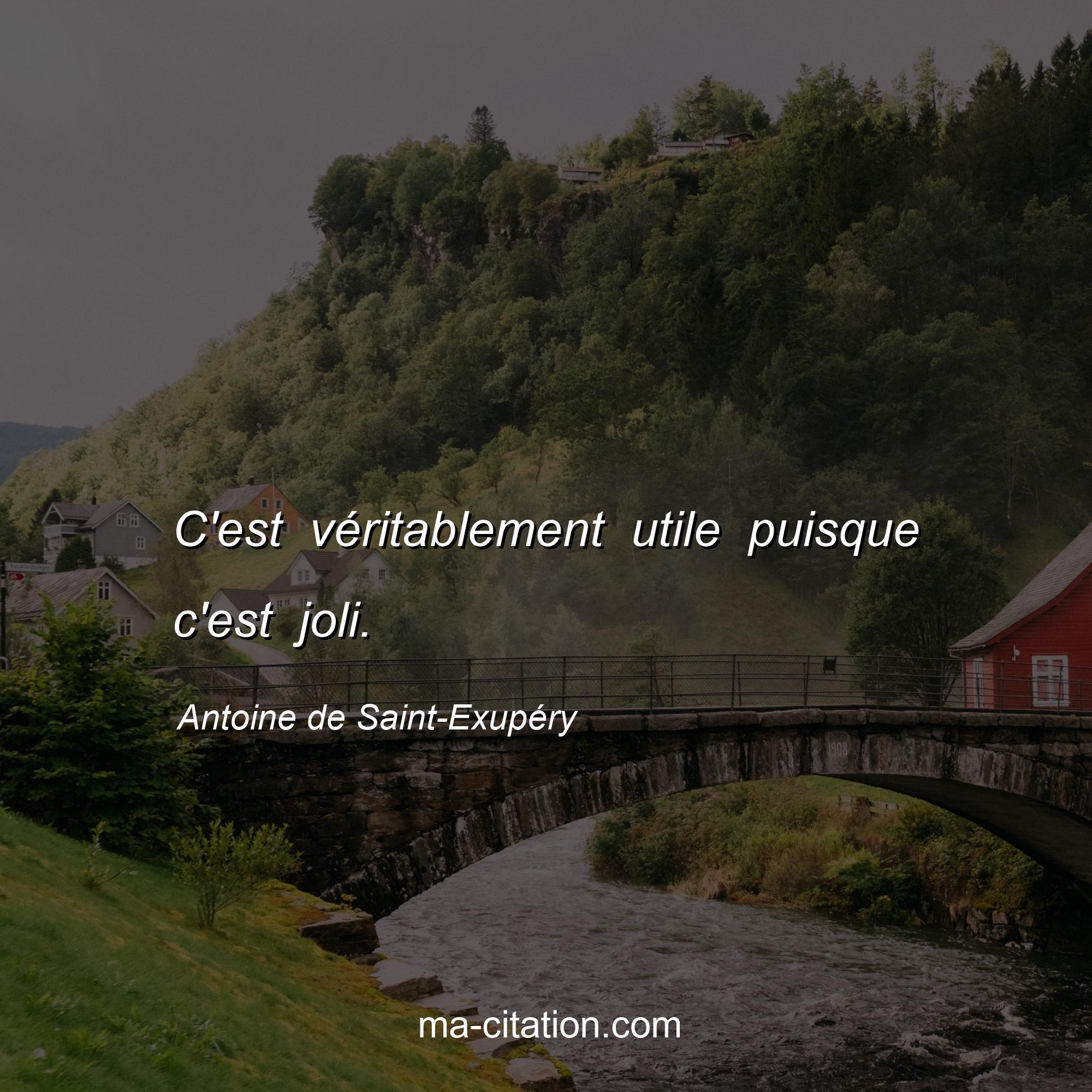 Antoine de Saint-Exupéry : C'est véritablement utile puisque c'est joli.