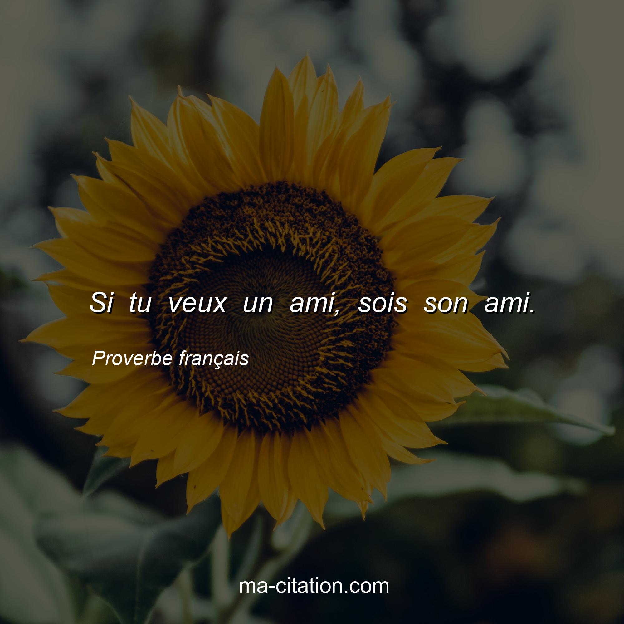 Proverbe français : Si tu veux un ami, sois son ami.