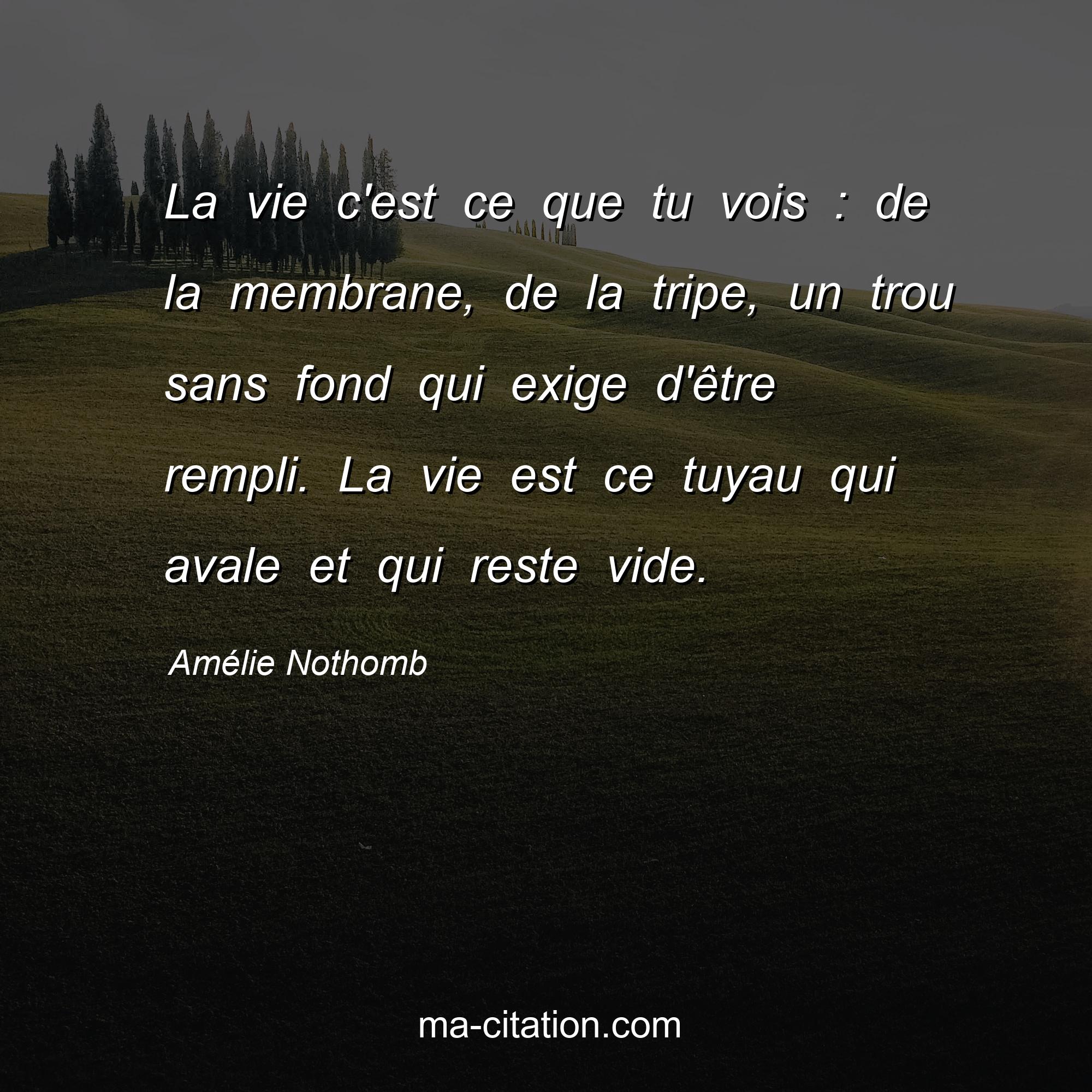 Amélie Nothomb : La vie c'est ce que tu vois : de la membrane, de la tripe, un trou sans fond qui exige d'être rempli. La vie est ce tuyau qui avale et qui reste vide.