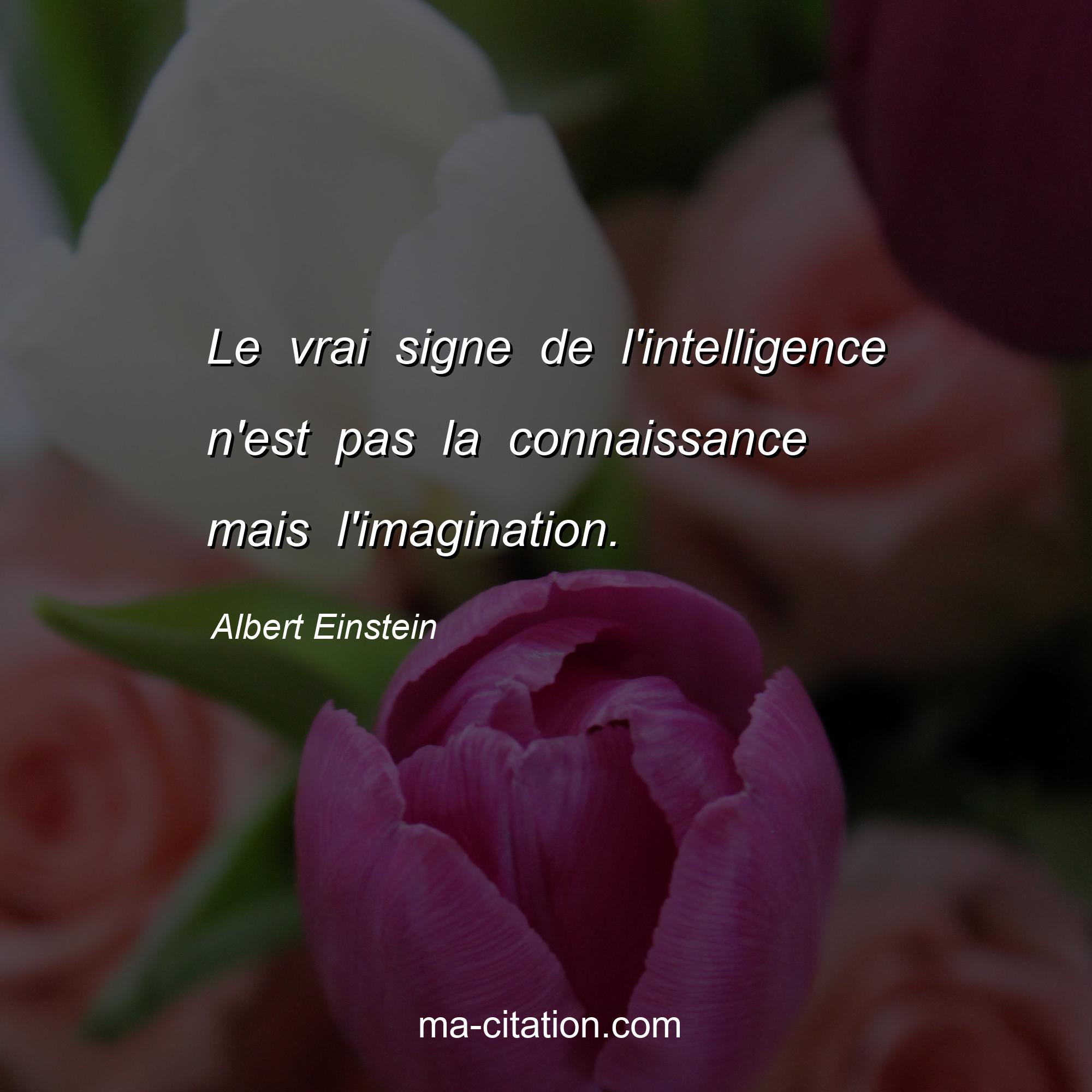 Albert Einstein : Le vrai signe de l'intelligence n'est pas la connaissance mais l'imagination.
