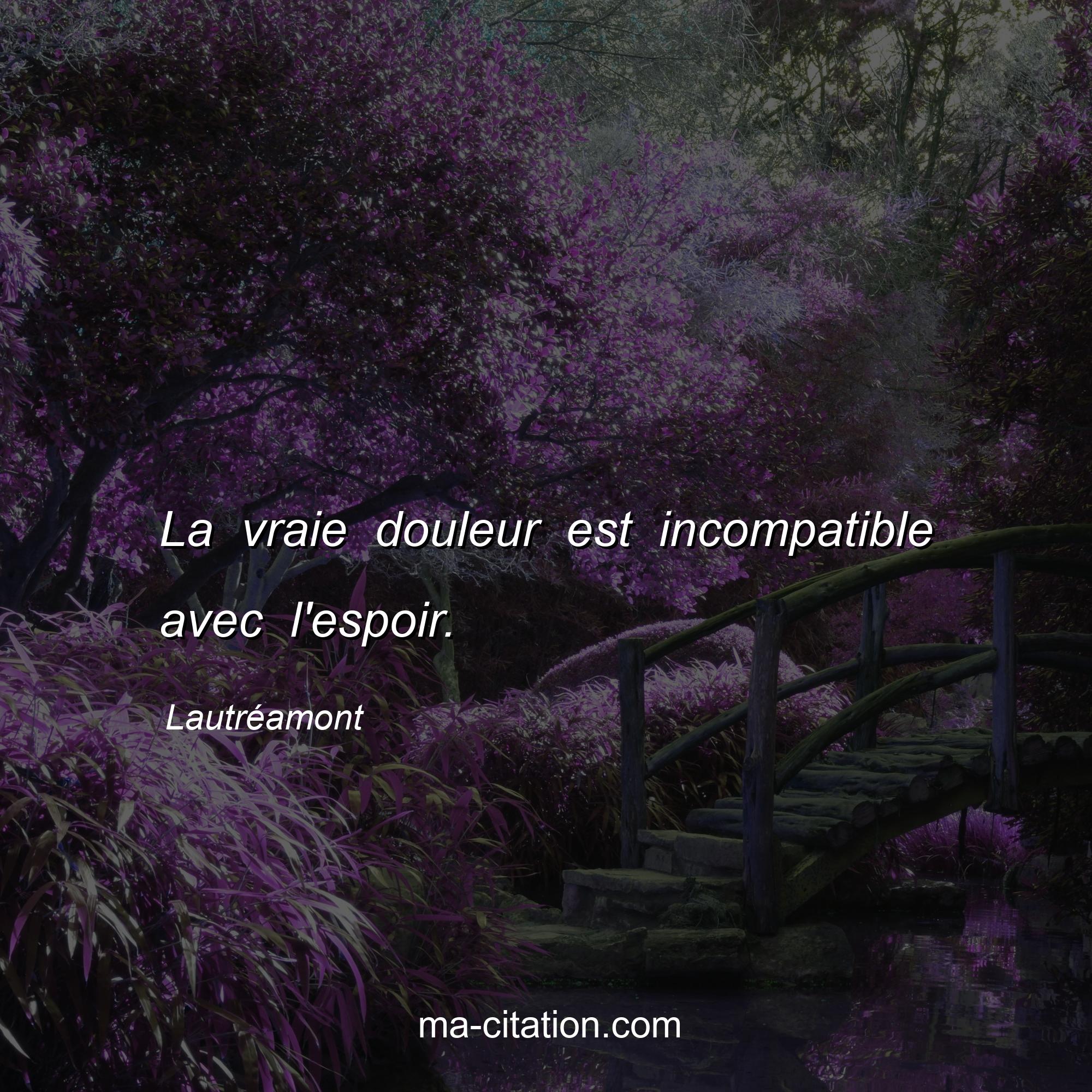 Lautréamont : La vraie douleur est incompatible avec l'espoir.